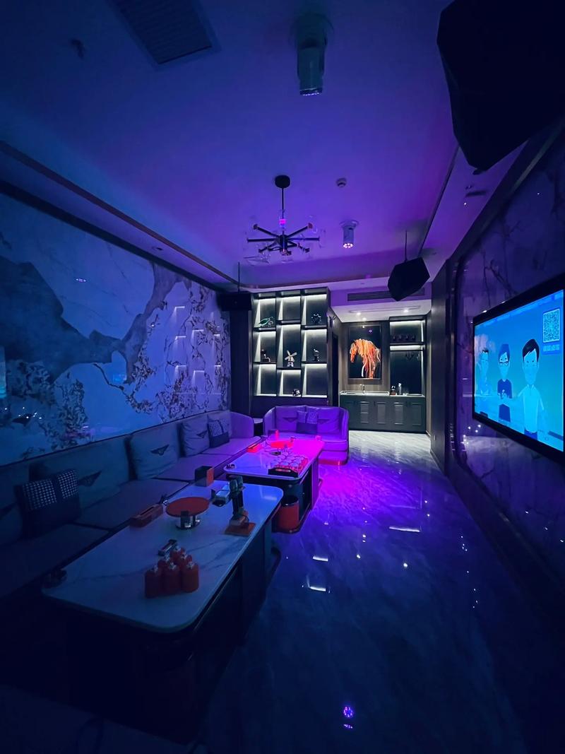 南宁商务ktv商务ktv有没有推荐-隆安县ktv预定